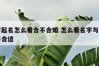 八字起名怎么看合不合婚 怎么看名字与八字合不合适