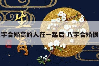 八字合婚高的人在一起后 八字合婚很合