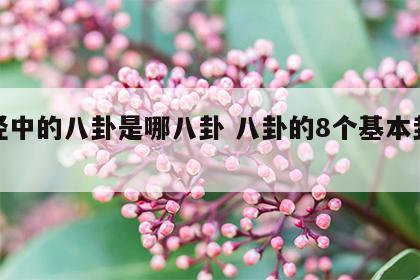 易经中的八卦是哪八卦 八卦的8个基本卦顺序