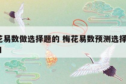 梅花易数做选择题的 梅花易数预测选择题abcd