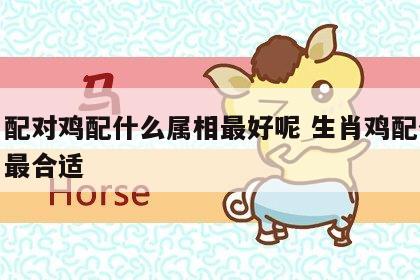 生肖配对鸡配什么属相最好呢 生肖鸡配什么生肖最合适