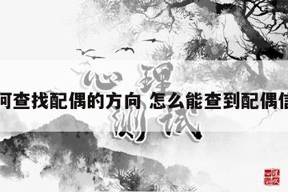如何查找配偶的方向 怎么能查到配偶信息