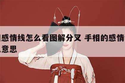 手相感情线怎么看图解分叉 手相的感情线是什么意思