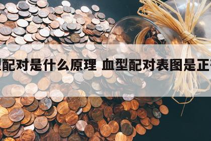血型配对是什么原理 血型配对表图是正确的吗