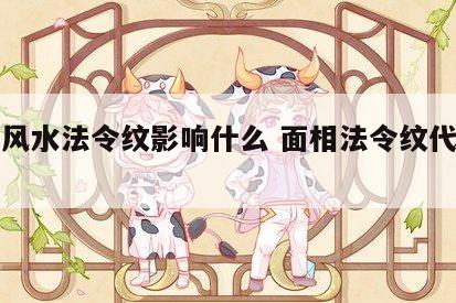 面部风水法令纹影响什么 面相法令纹代表什么