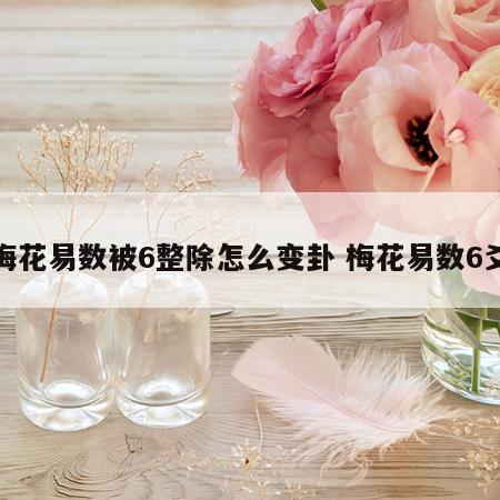 梅花易数被6整除怎么变卦 梅花易数6爻