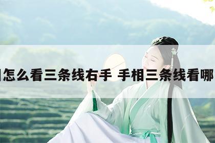 手相怎么看三条线右手 手相三条线看哪只手