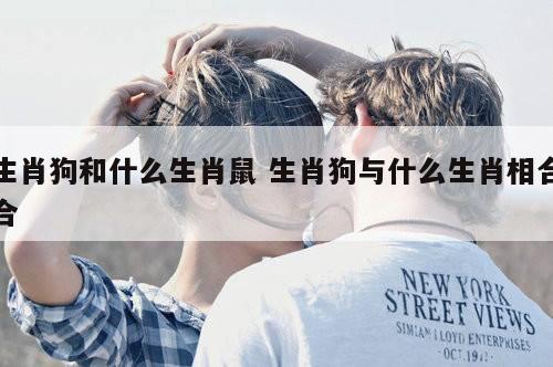 生肖狗和什么生肖鼠 生肖狗与什么生肖相合合