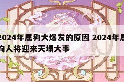 2024年属狗大爆发的原因 2024年属狗人将迎来天塌大事