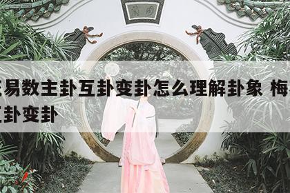 梅花易数主卦互卦变卦怎么理解卦象 梅花本卦互卦变卦