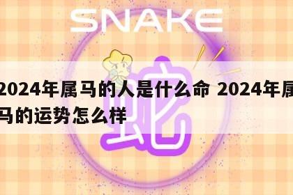 2024年属马的人是什么命 2024年属马的运势怎么样