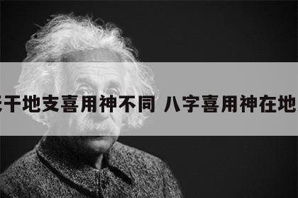 天干地支喜用神不同 八字喜用神在地支