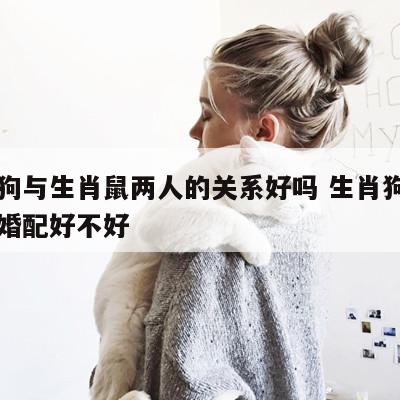 生肖狗与生肖鼠两人的关系好吗 生肖狗与生肖鼠婚配好不好