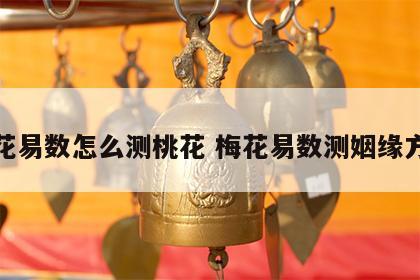 梅花易数怎么测桃花 梅花易数测姻缘方法