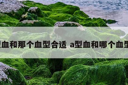 a型血和那个血型合适 a型血和哪个血型配