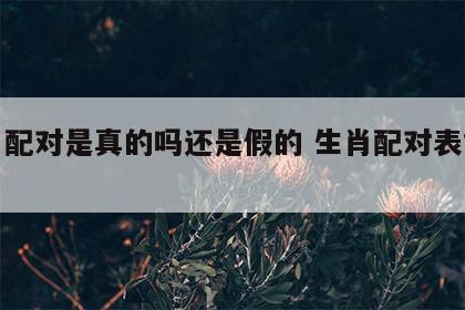 生肖配对是真的吗还是假的 生肖配对表能信吗