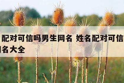 姓名配对可信吗男生网名 姓名配对可信吗男生网名大全