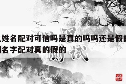 网上姓名配对可信吗是真的吗吗还是假的 网上测名字配对真的假的