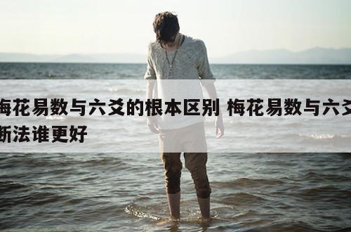 梅花易数与六爻的根本区别 梅花易数与六爻断法谁更好