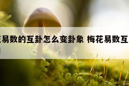 梅花易数的互卦怎么变卦象 梅花易数互卦怎么用