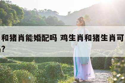 鸡肖和猪肖能婚配吗 鸡生肖和猪生肖可以结婚吗?