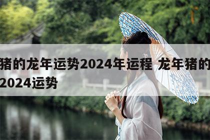 属猪的龙年运势2024年运程 龙年猪的运势2024运势