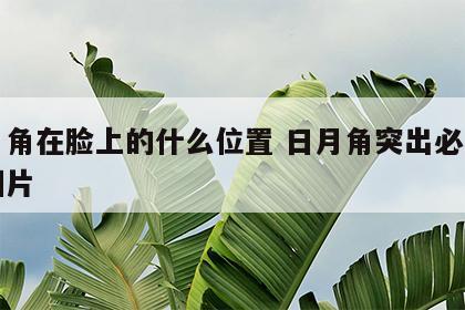 日月角在脸上的什么位置 日月角突出必为贵人图片