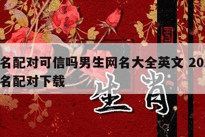 姓名配对可信吗男生网名大全英文 2021姓名配对下载