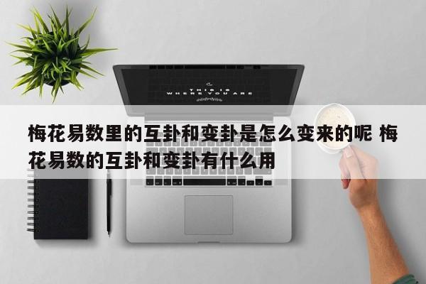 梅花易数里的互卦和变卦是怎么变来的呢 梅花易数的互卦和变卦有什么用