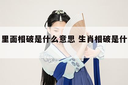 生肖里面相破是什么意思 生肖相破是什么意思?