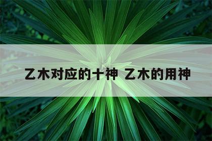 乙木对应的十神 乙木的用神