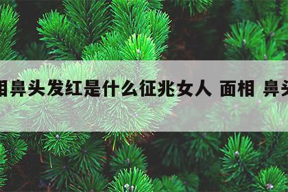 面相鼻头发红是什么征兆女人 面相 鼻头发红