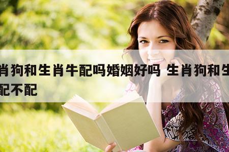 生肖狗和生肖牛配吗婚姻好吗 生肖狗和生肖牛配不配