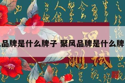 聚风品牌是什么牌子 聚风品牌是什么牌子的