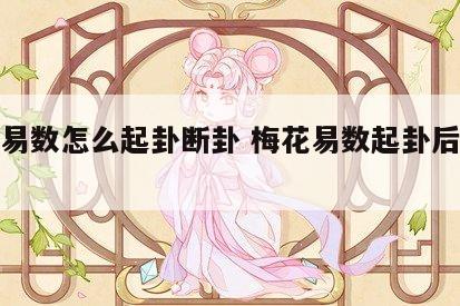 梅花易数怎么起卦断卦 梅花易数起卦后怎么断卦