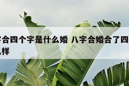 八字合四个字是什么婚 八字合婚合了四个字怎么样