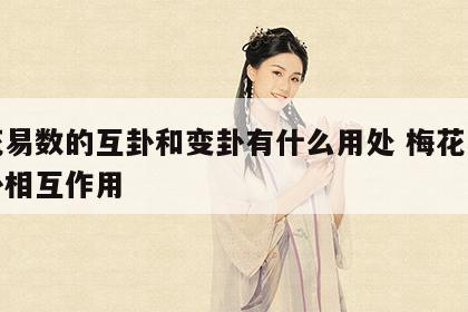 梅花易数的互卦和变卦有什么用处 梅花易数互卦相互作用
