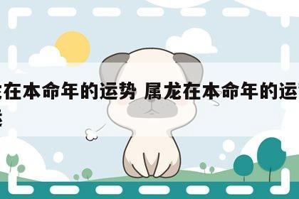 属龙在本命年的运势 属龙在本命年的运势和财运