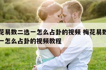 梅花易数二选一怎么占卦的视频 梅花易数二选一怎么占卦的视频教程