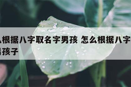 怎么根据八字取名字男孩 怎么根据八字取名字男孩子