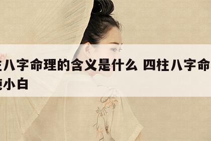 四柱八字命理的含义是什么 四柱八字命理入门纯小白