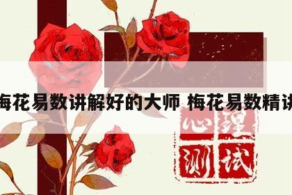 梅花易数讲解好的大师 梅花易数精讲