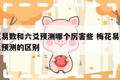 梅花易数和六爻预测哪个厉害些 梅花易数和六爻预测的区别