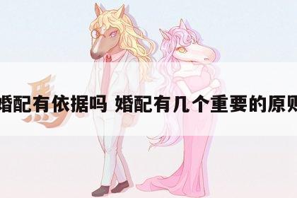 婚配有依据吗 婚配有几个重要的原则