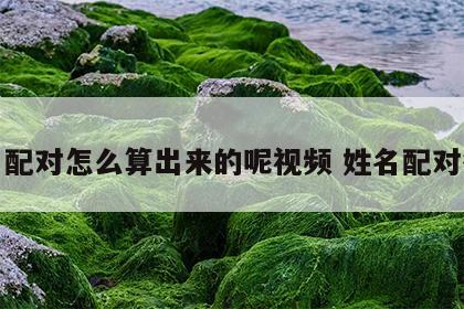 姓名配对怎么算出来的呢视频 姓名配对很准