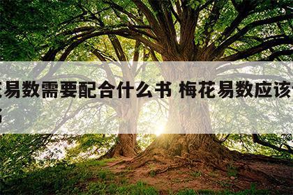 梅花易数需要配合什么书 梅花易数应该读谁的书