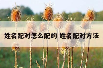 姓名配对怎么配的 姓名配对方法