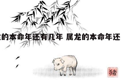 属龙的本命年还有几年 属龙的本命年还有几年?