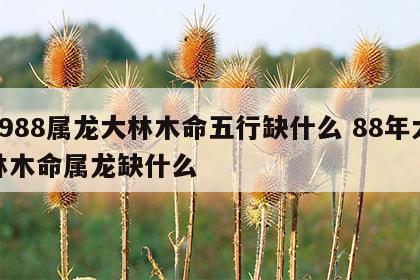 1988属龙大林木命五行缺什么 88年大林木命属龙缺什么
