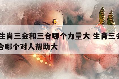 12生肖三会和三合哪个力量大 生肖三会和三合哪个对人帮助大